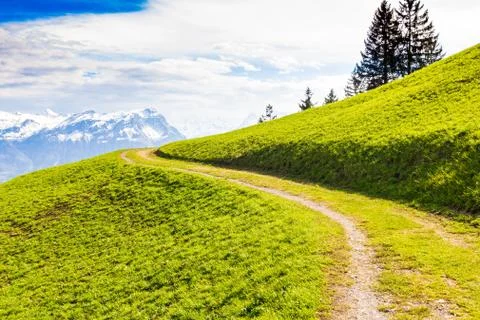 Mountain trekking path leading through green meadow Stock Photos