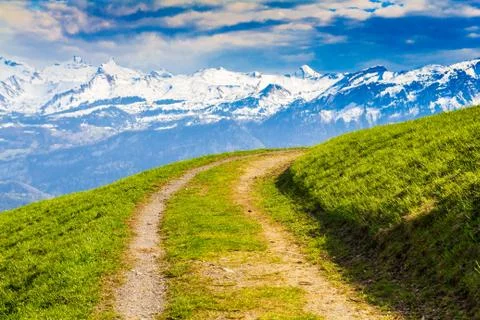 Mountain trekking path leading through green meadow Stock Photos