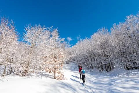 Mountain trip in the snow Stock Photos