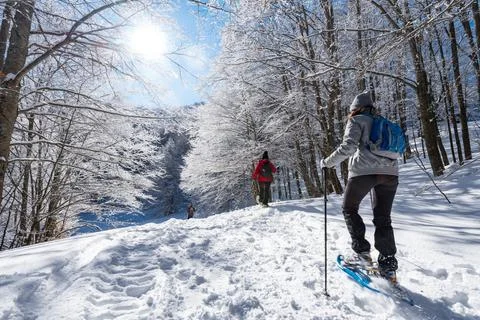 Mountain trip in the snow Stock Photos
