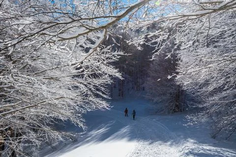 Mountain trip in the snow Stock Photos