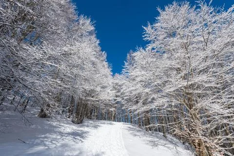 Mountain trip in the snow Stock Photos