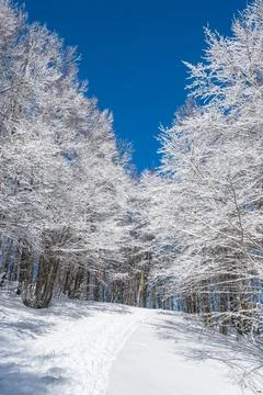 Mountain trip in the snow Stock Photos