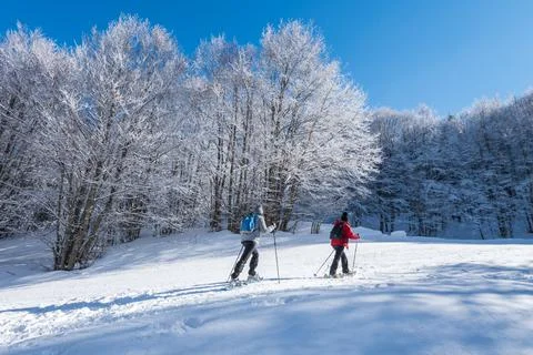 Mountain trip in the snow Stock Photos