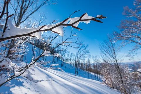 Mountain trip in the snow Stock Photos