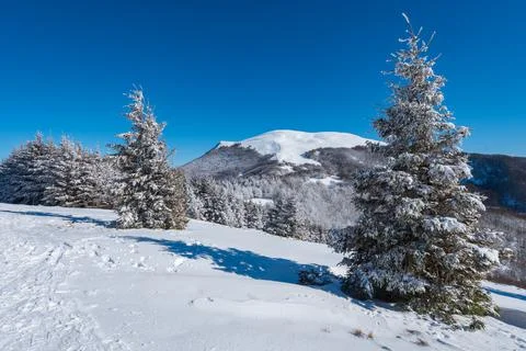 Mountain trip in the snow Stock Photos