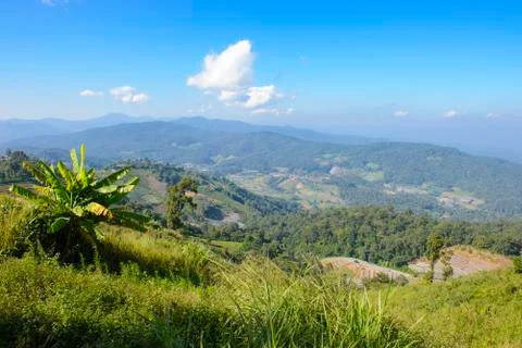 Mountain in the tropical forest Stock Photos