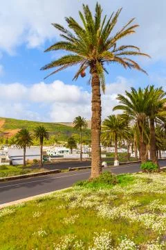 Mountain tropical landscape Stock Photos