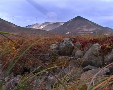 Mountain tundra Video stock 1106516