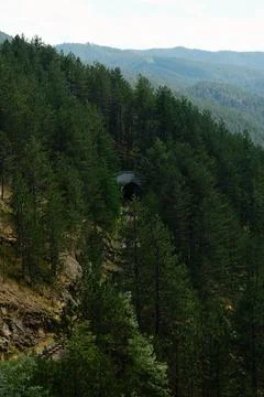 Mountain tunnel hidden in dense pine forest on the Sargan Eight railway near  Stock Photos
