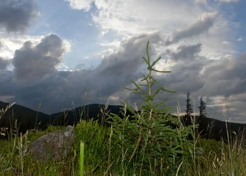 Mountain, twilight Stock Photos