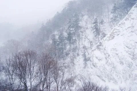 Mountain under snow 写真素材