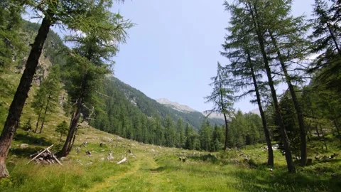 Mountain valley in the alps of Austria Stock Footage 158621878