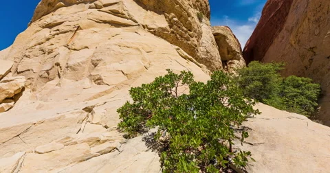 Mountain Valley Close Up Time Lapse Pan Stock Footage 64815659