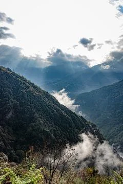Mountain valley covered with dense cloud and bleeding sun rays at morning fro Stock Photos