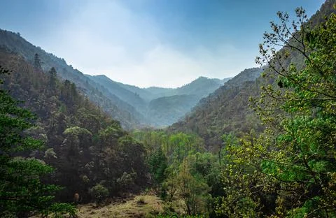 Mountain valley covered with dense forest and blue sky at morning from flat a 写真素材