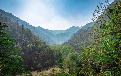 Mountain valley covered with dense forest and blue sky at morning from flat a 스톡 사진