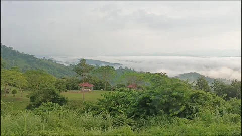Mountain Valley Covered in Sea of Clouds and Morning Fog Over Forest Vidéo 337185685