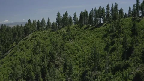 Mountain Valley Drone Stock Footage 158404787