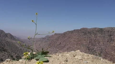 Mountain, valley to feynan lodge Stock Footage 4279461