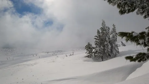 Mountain valley, flying white thick fog from right to left Stock-Footage 89691164