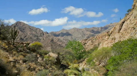 Mountain Valley 스톡 동영상 876842