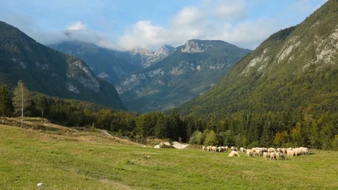 Mountain valley Stock Footage 101748001