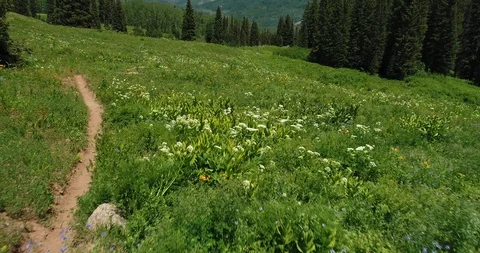 Mountain valley Stock Footage 121473649