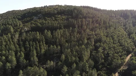 Mountain Valley 動画素材 170011897