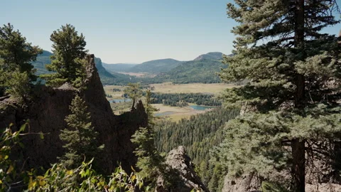 Mountain valley framed by pine trees and cliffs Video stock 348025196