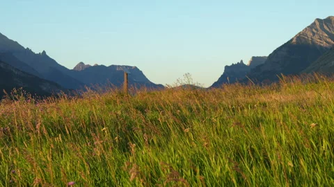 Mountain Valley Grass Field View during Summer with Clear Sky Stock Footage 329540923