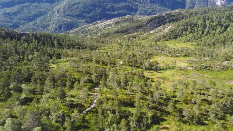 Mountain valley. Green forest and high mountains. Smooth flight over green trees Stock Footage 202136121