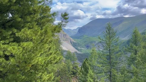 Mountain valley landscape with coniferous forest, dramatic sky, static wide Stock-Footage 347349652