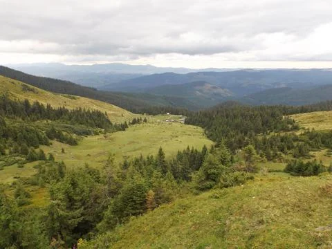 Mountain Valley Landscape With Evergreen Pine Trees And Grassy Meadow Foto stock