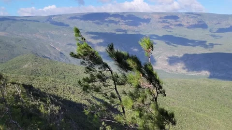 Mountain valley landscape framed by trees with blue sky and clouds 4k Stock-Footage 329074807