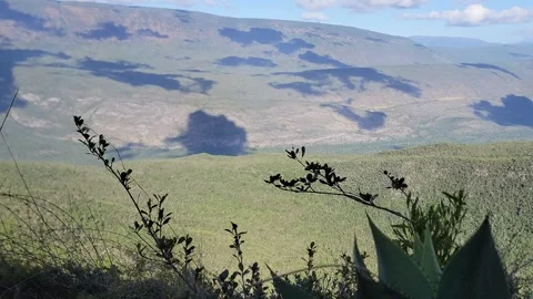 Mountain valley landscape framed by trees with blue sky and clouds 4k Stock Footage 329074809