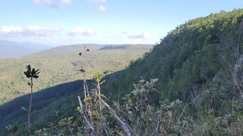 Mountain valley landscape framed by trees with blue sky and clouds 4k Stock-Footage 329076377