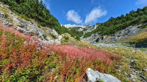 Mountain valley landscape Stock Photos