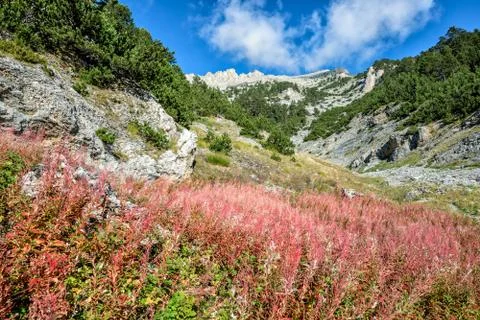Mountain valley landscape Foto stock