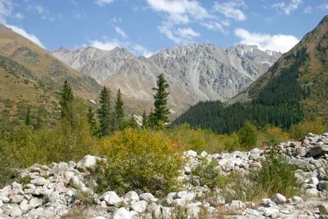 Mountain valley. Stock Photos