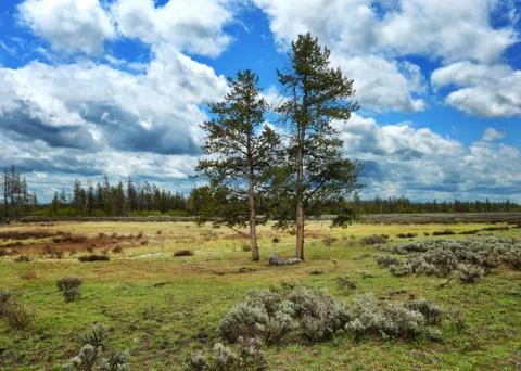Mountain valley Stock Photos