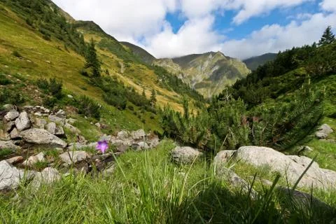 Mountain valley Stock Photos