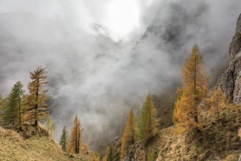 Mountain valley Stock Photos