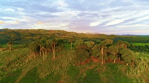 Mountain valley in the rays of the setting sun. Vidéo 329601680