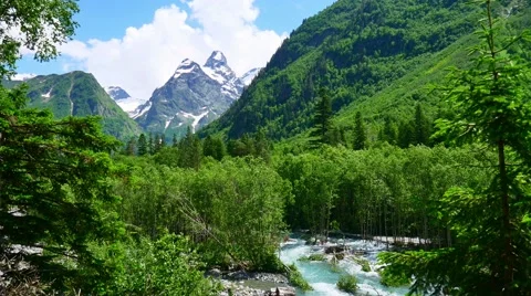 Mountain valley with river and forest in Kavkaz region Stock-Footage 65775717