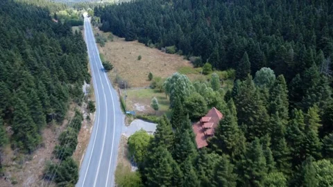 Mountain valley road through dense forest at high elevation during summer day Stock Footage 325221503