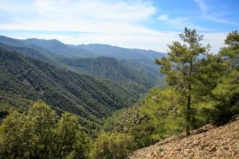 Mountain valley scene Stock Photos