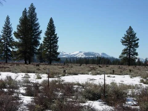 Mountain valley with snow 스톡 사진