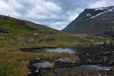 Mountain valley with stream and alpine vegetation, Norway Stock-Fotos