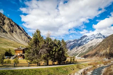 Mountain valley with stream and trees, Livingo, Italy, Alps Stock Photos